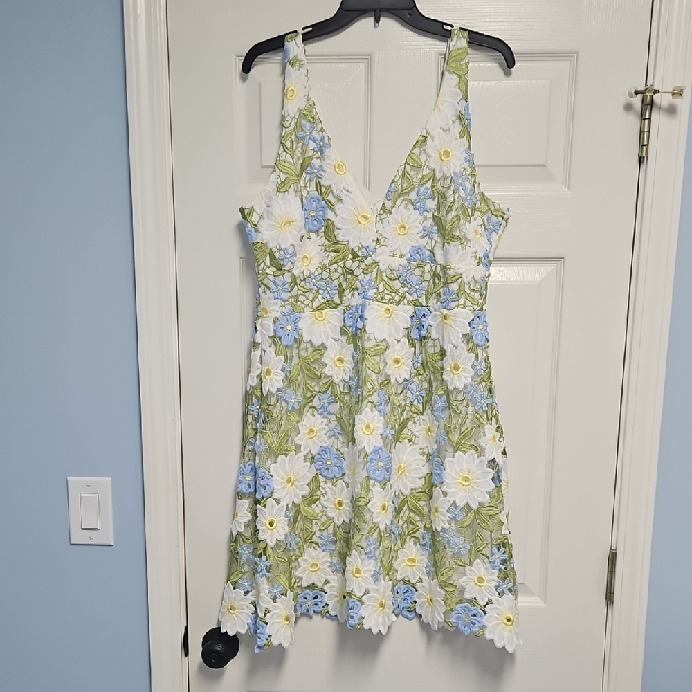 Layered With Love Floral Lace V-Neck Sleeveless A-line Dress:Daisy Print: Size-L